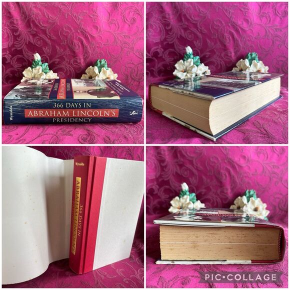 * 3 for $9 * 366 Days in Abraham Lincoln's Presidency: The Private, Political… - Picture 2 of 12